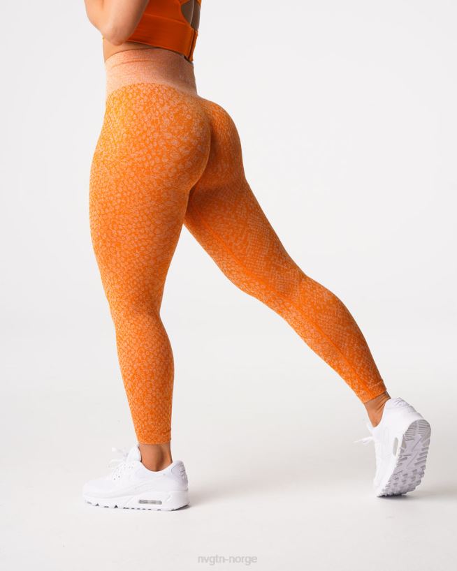 sømløse leggings fra slangeskinn 22RN2T684 brent oransje Fitness NVGTN kvinner