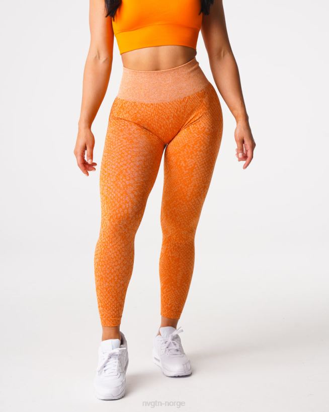 sømløse leggings fra slangeskinn 22RN2T684 brent oransje Fitness NVGTN kvinner