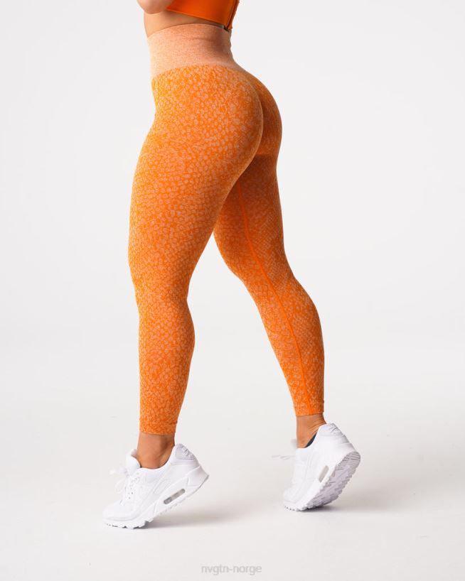 sømløse leggings fra slangeskinn 22RN2T684 brent oransje Fitness NVGTN kvinner